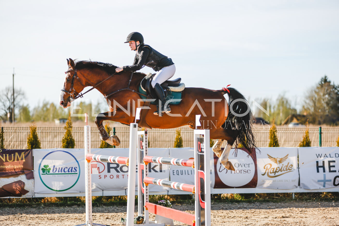 Gramina_Volber_2026_130_0127