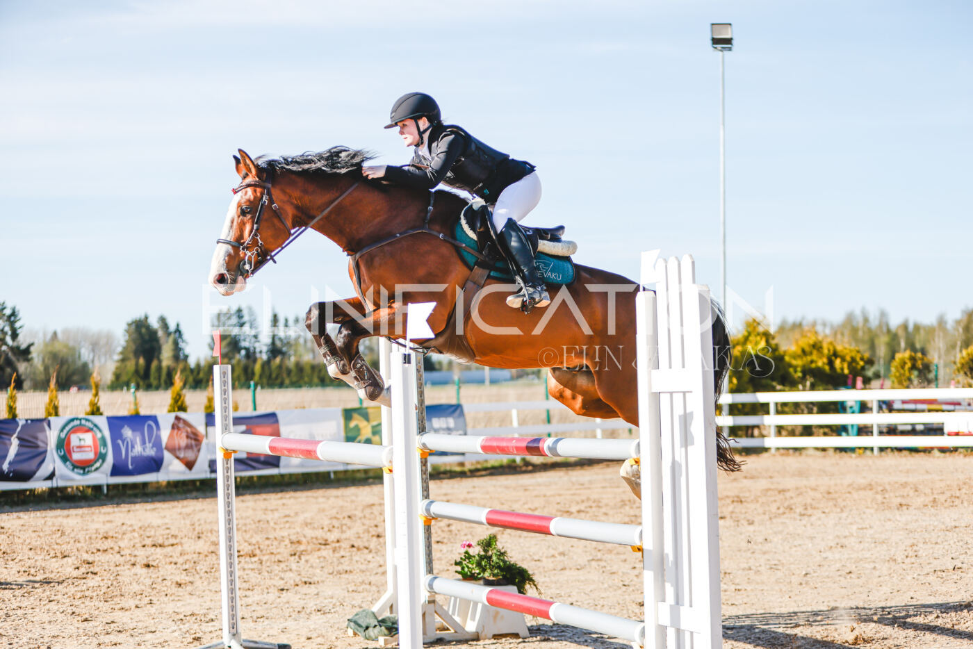Gramina_Volber_2026_130_0137