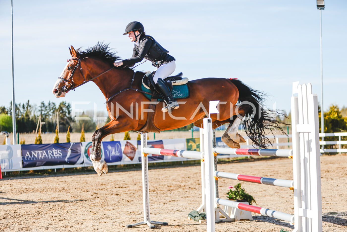 Gramina_Volber_2026_130_0141