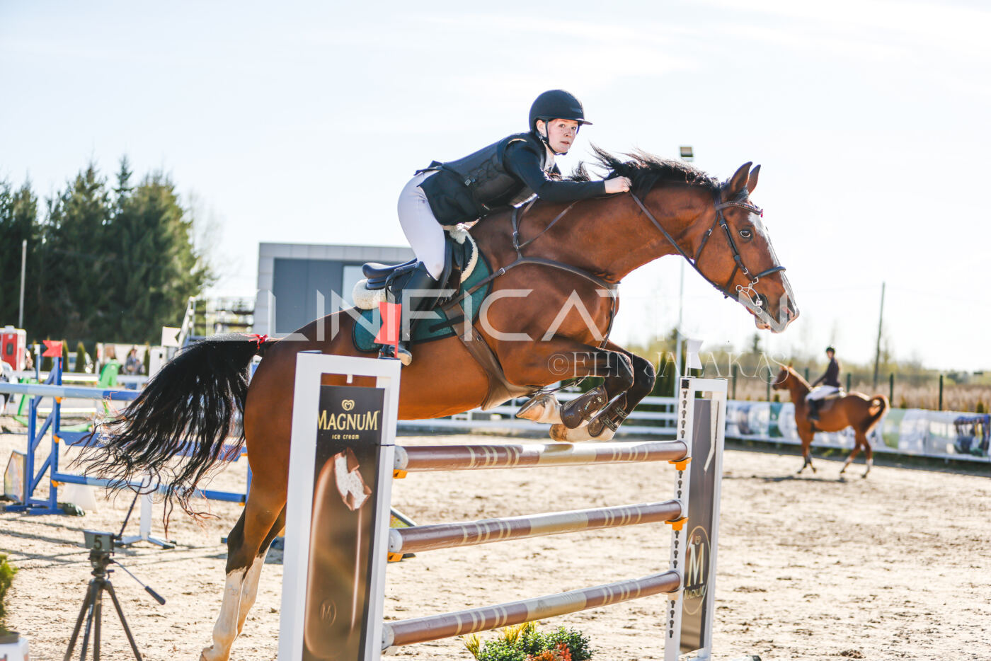Gramina_Volber_2026_130_0146