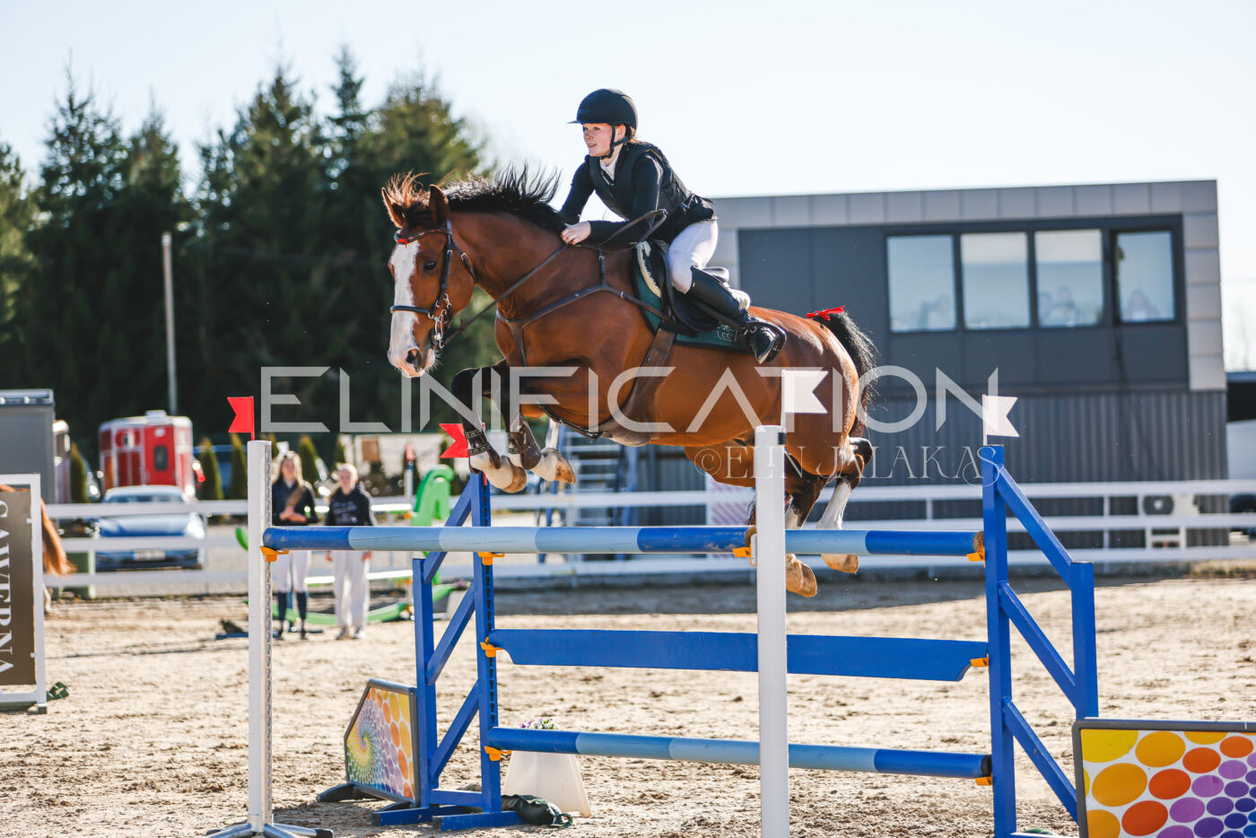 Gramina_Volber_2026_130_0154