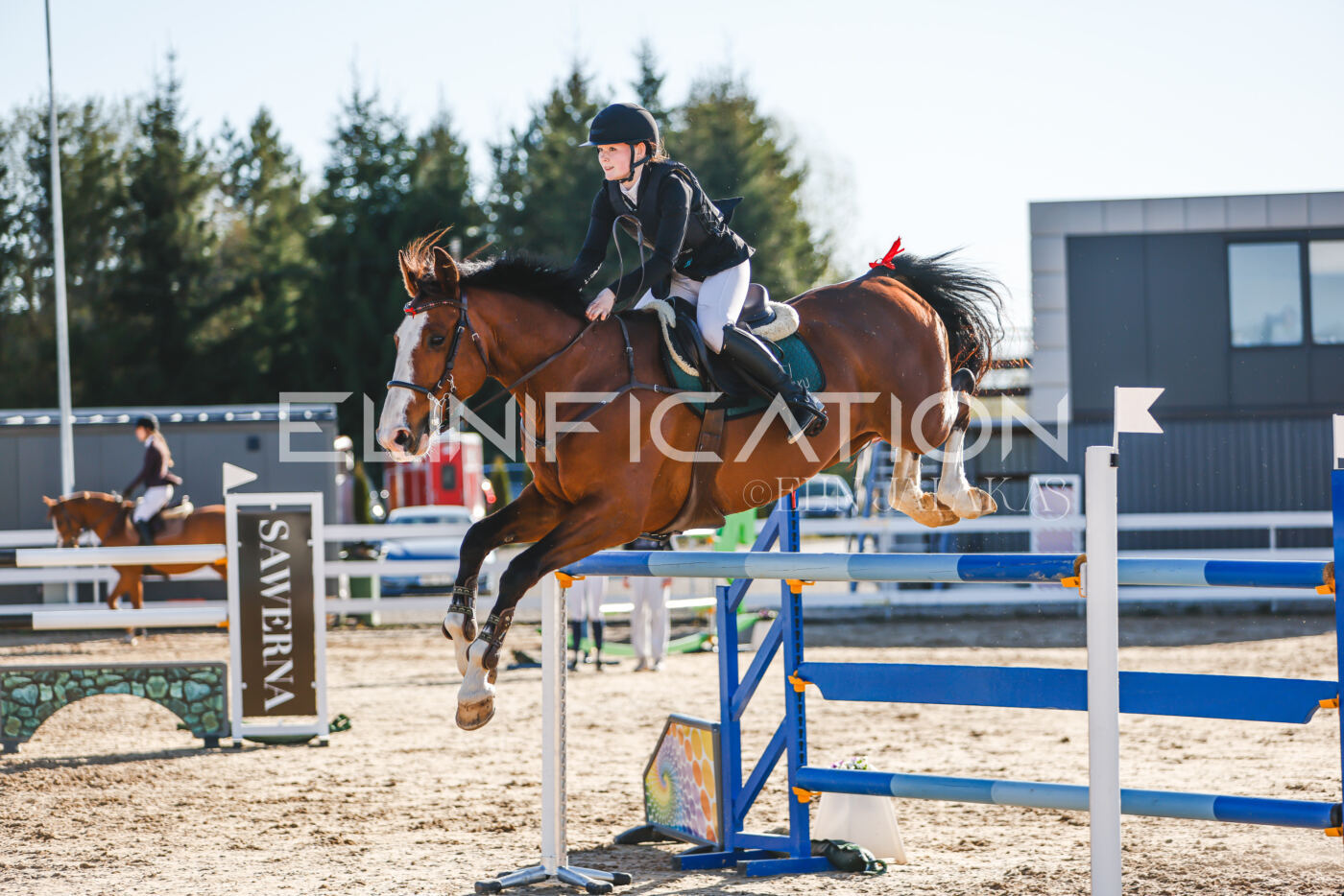 Gramina_Volber_2026_130_0158