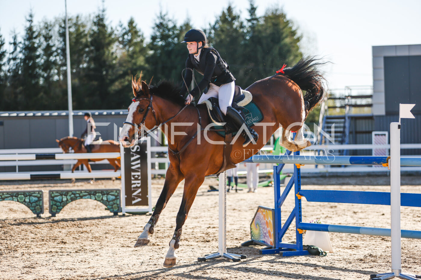 Gramina_Volber_2026_130_0160