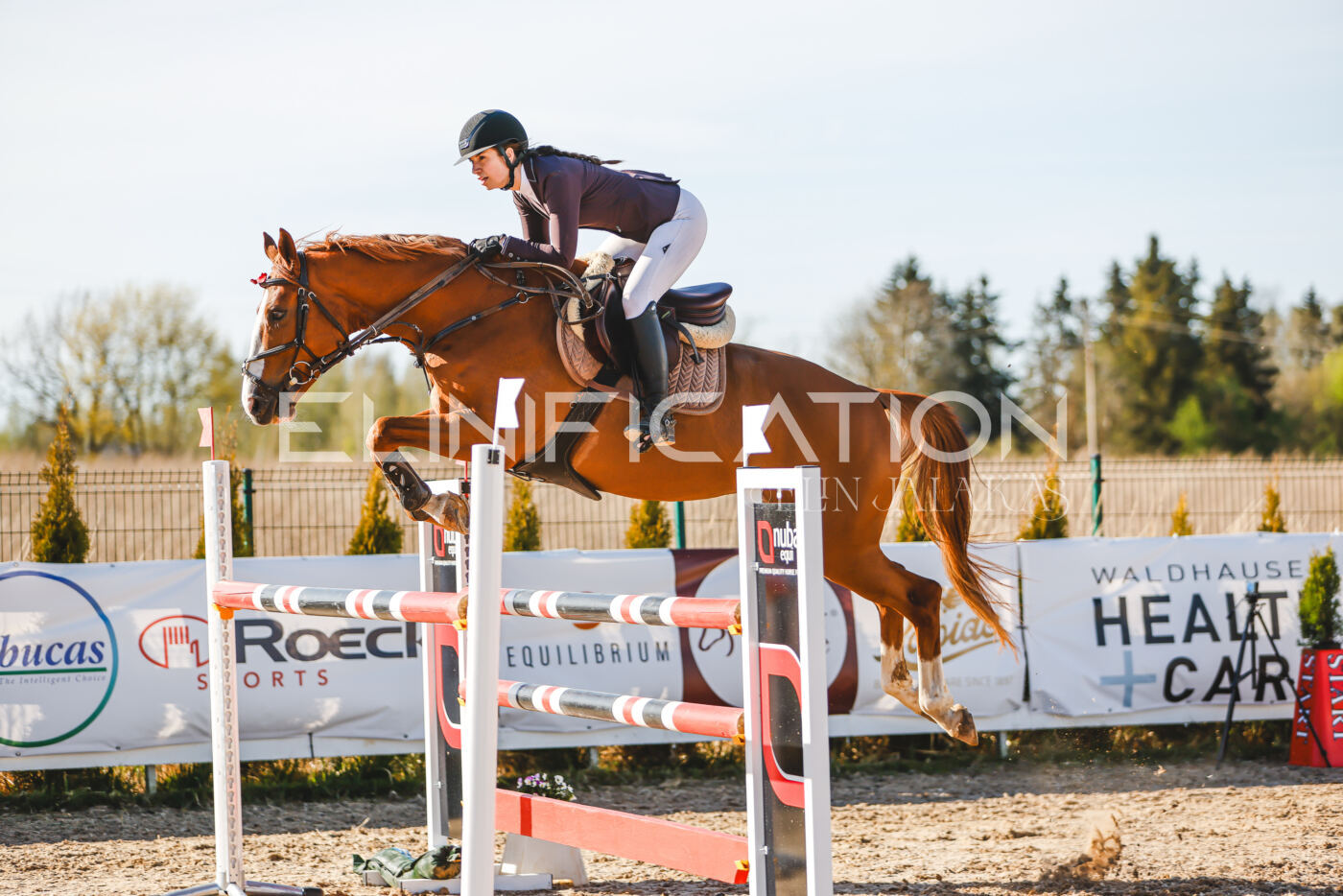 Gramina_Volber_2026_130_0162