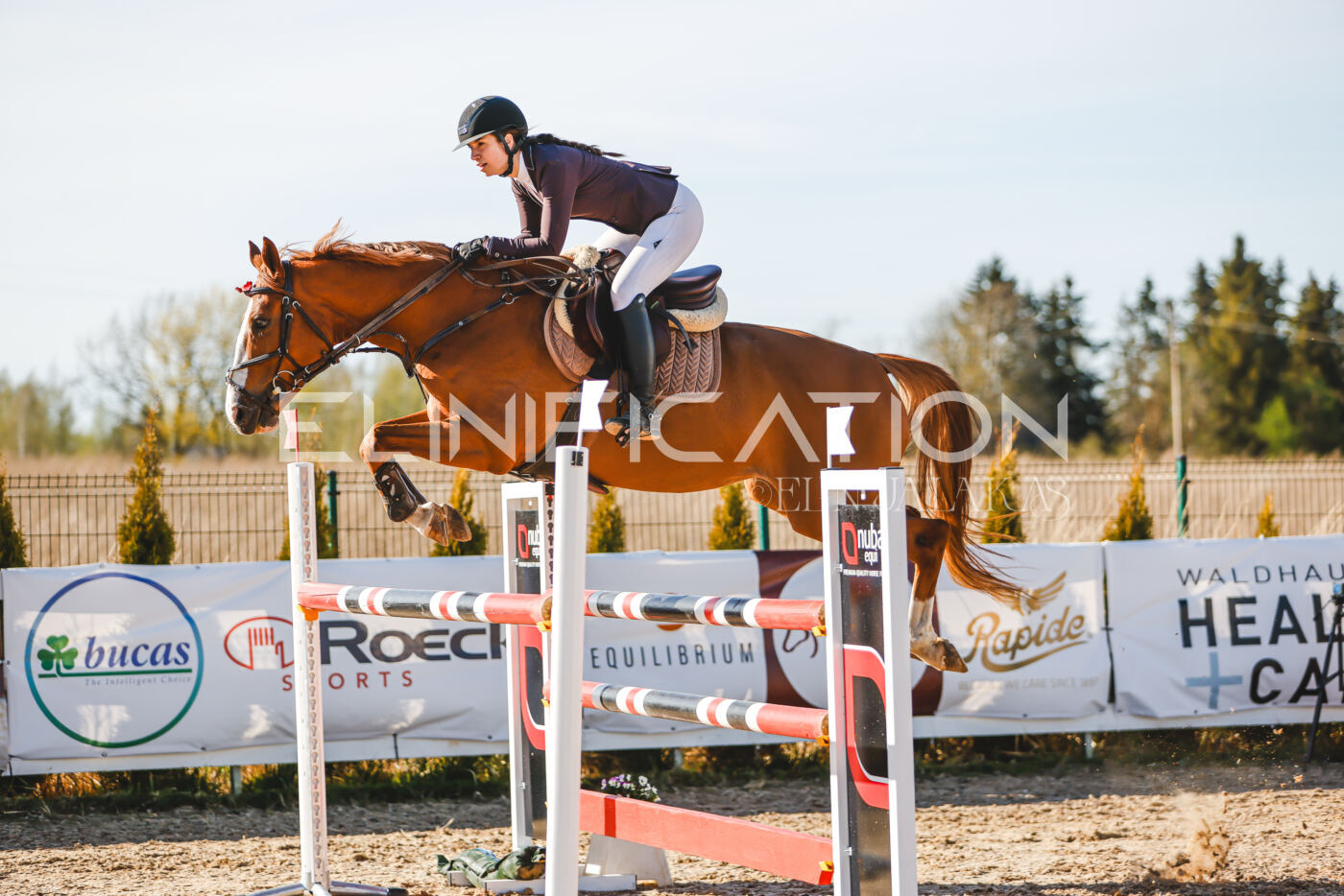 Gramina_Volber_2026_130_0163