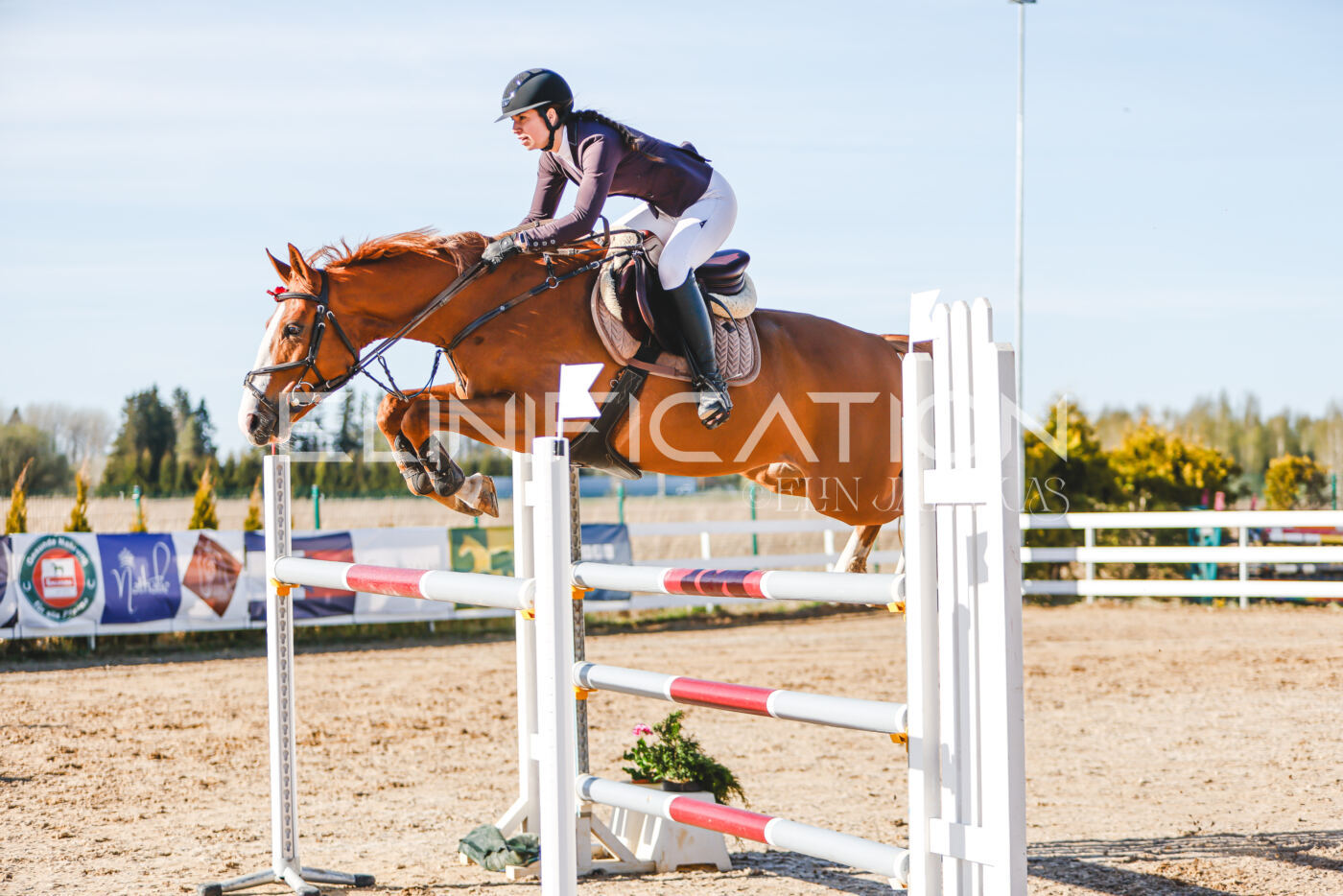 Gramina_Volber_2026_130_0172