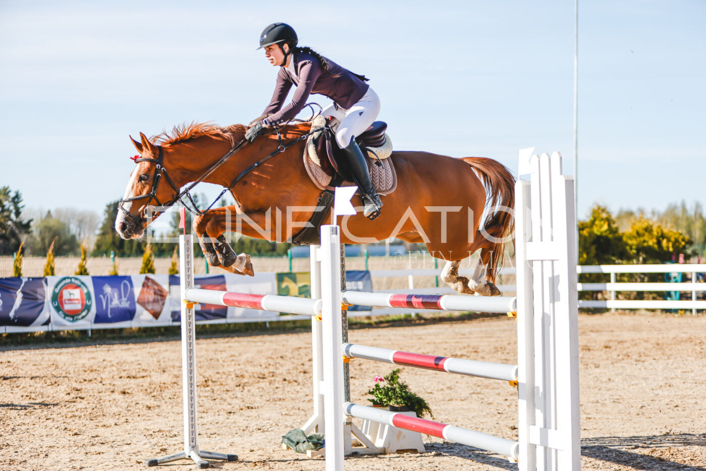 Gramina_Volber_2026_130_0173