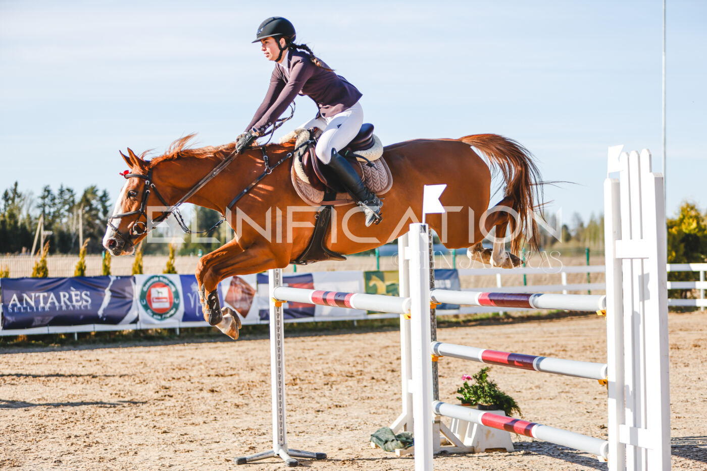 Gramina_Volber_2026_130_0175