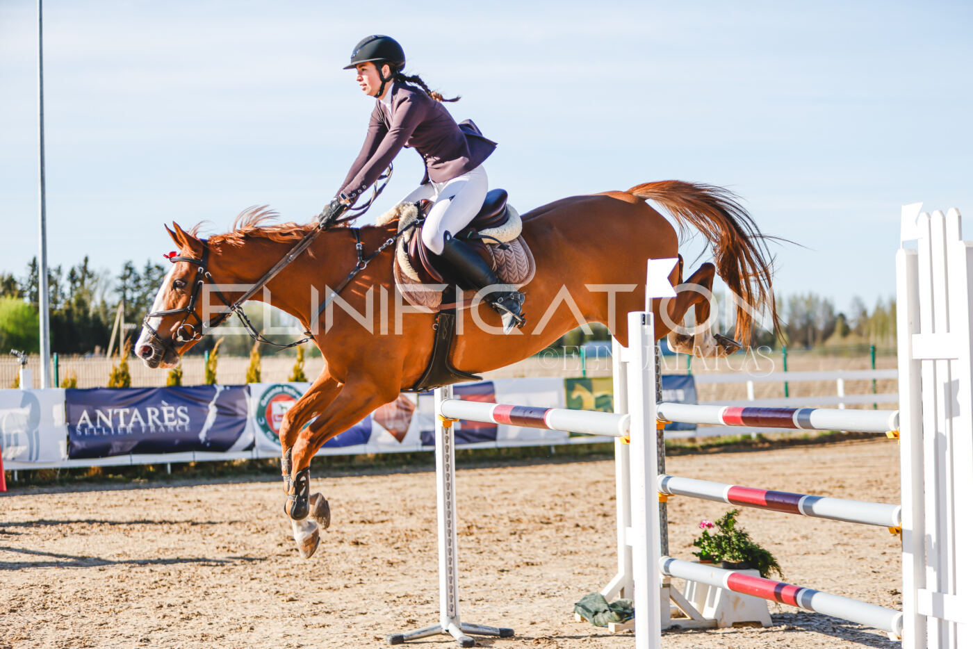 Gramina_Volber_2026_130_0176
