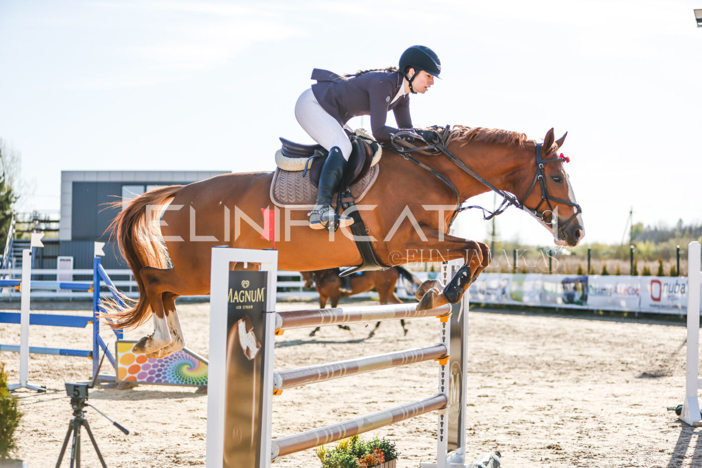Gramina_Volber_2026_130_0186