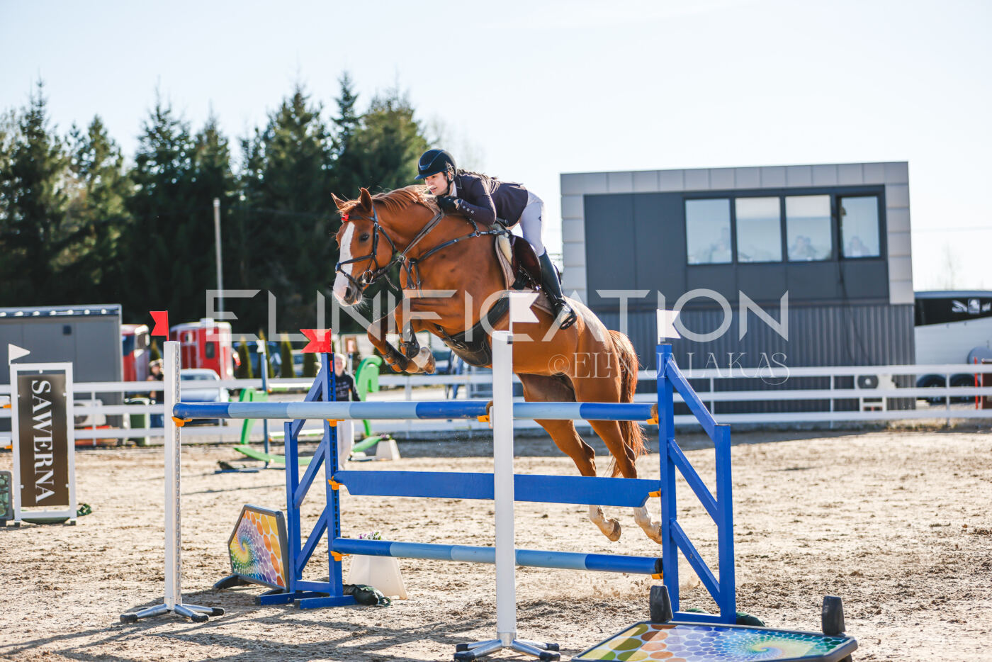 Gramina_Volber_2026_130_0190