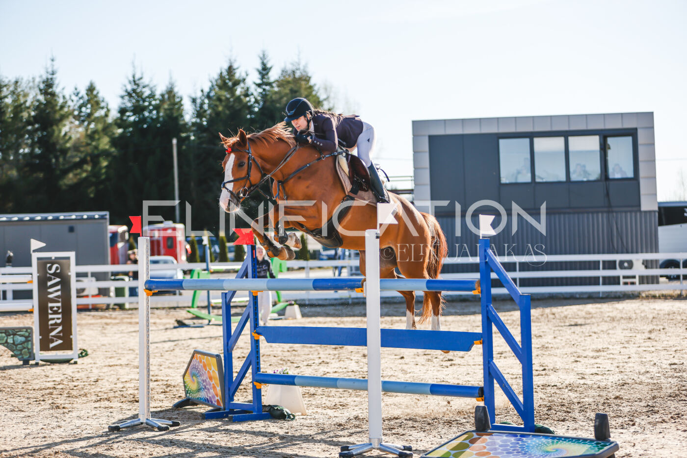 Gramina_Volber_2026_130_0191
