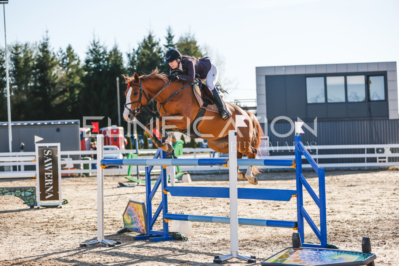 Gramina_Volber_2026_130_0192