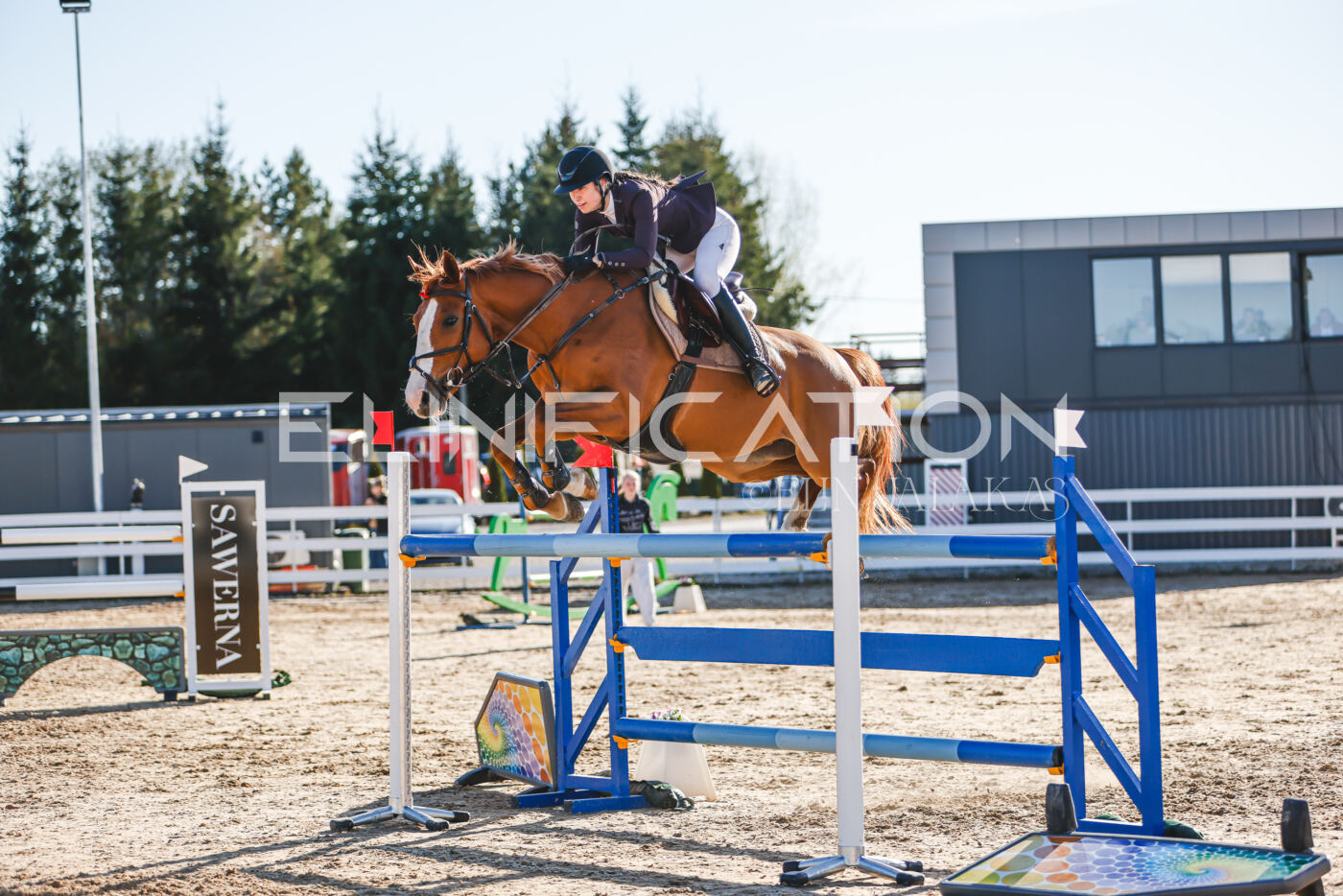 Gramina_Volber_2026_130_0193