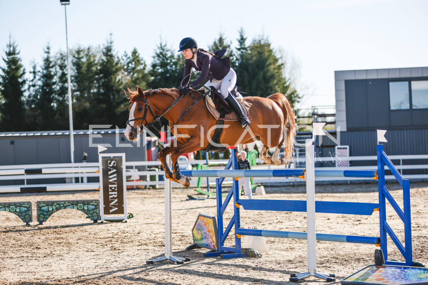 Gramina_Volber_2026_130_0195