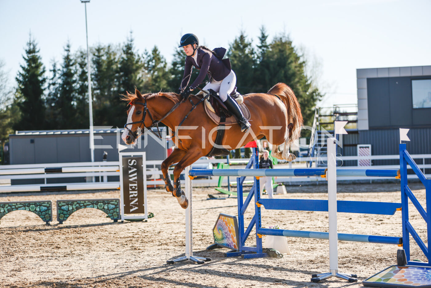 Gramina_Volber_2026_130_0196