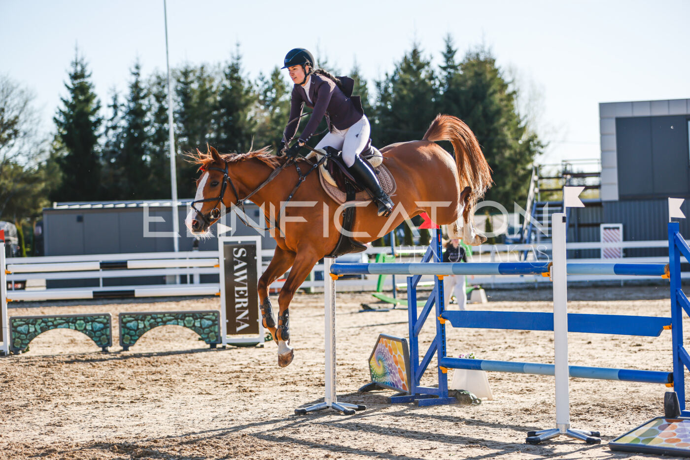 Gramina_Volber_2026_130_0197