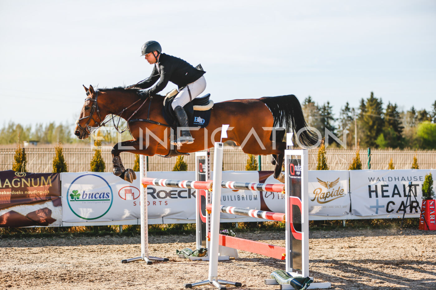 Gramina_Volber_2026_130_0203