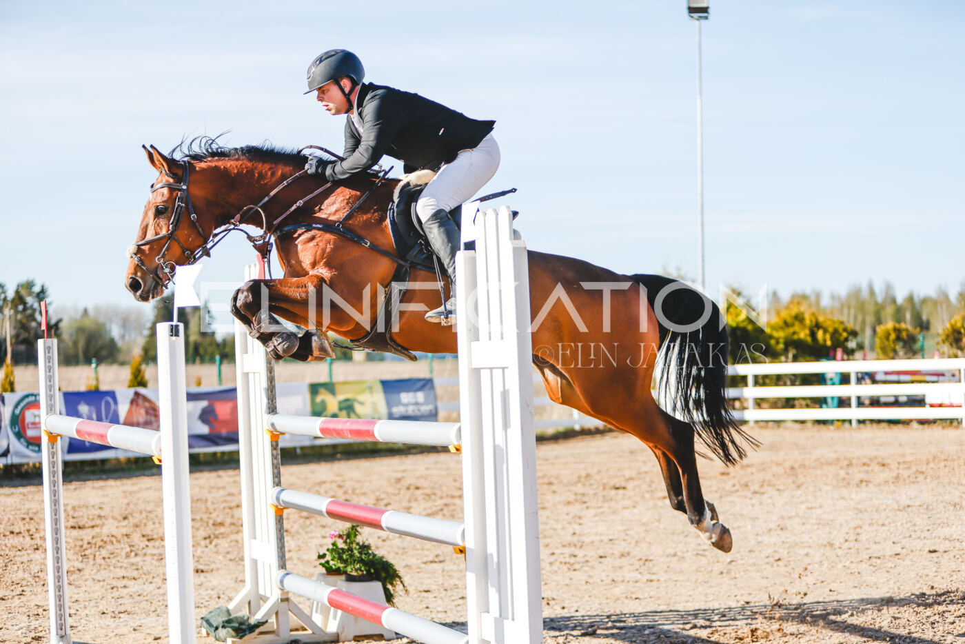 Gramina_Volber_2026_130_0211