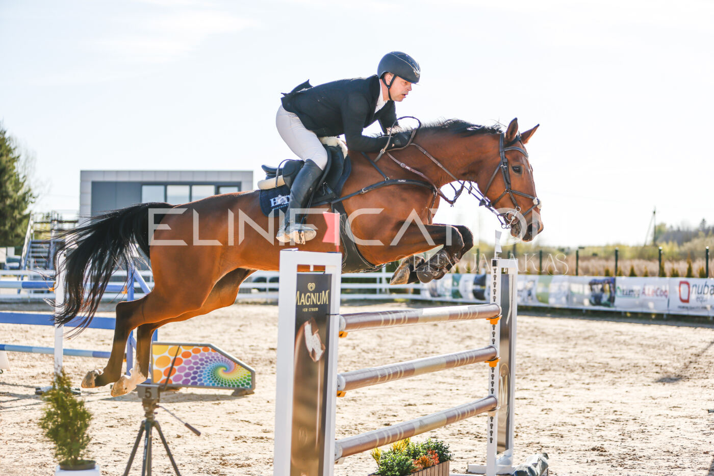Gramina_Volber_2026_130_0221