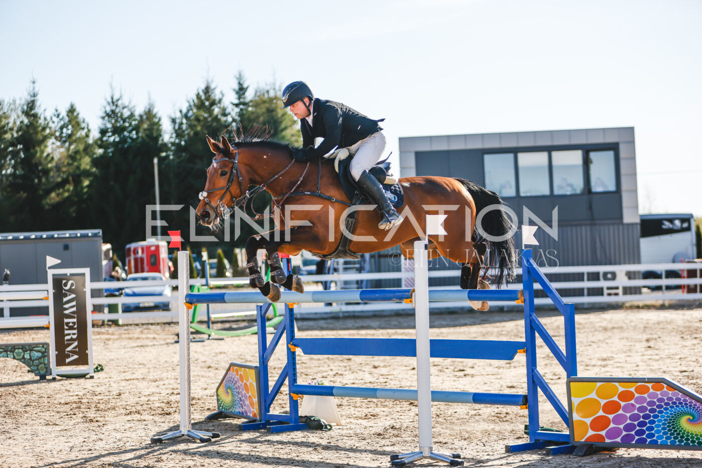 Gramina_Volber_2026_130_0227
