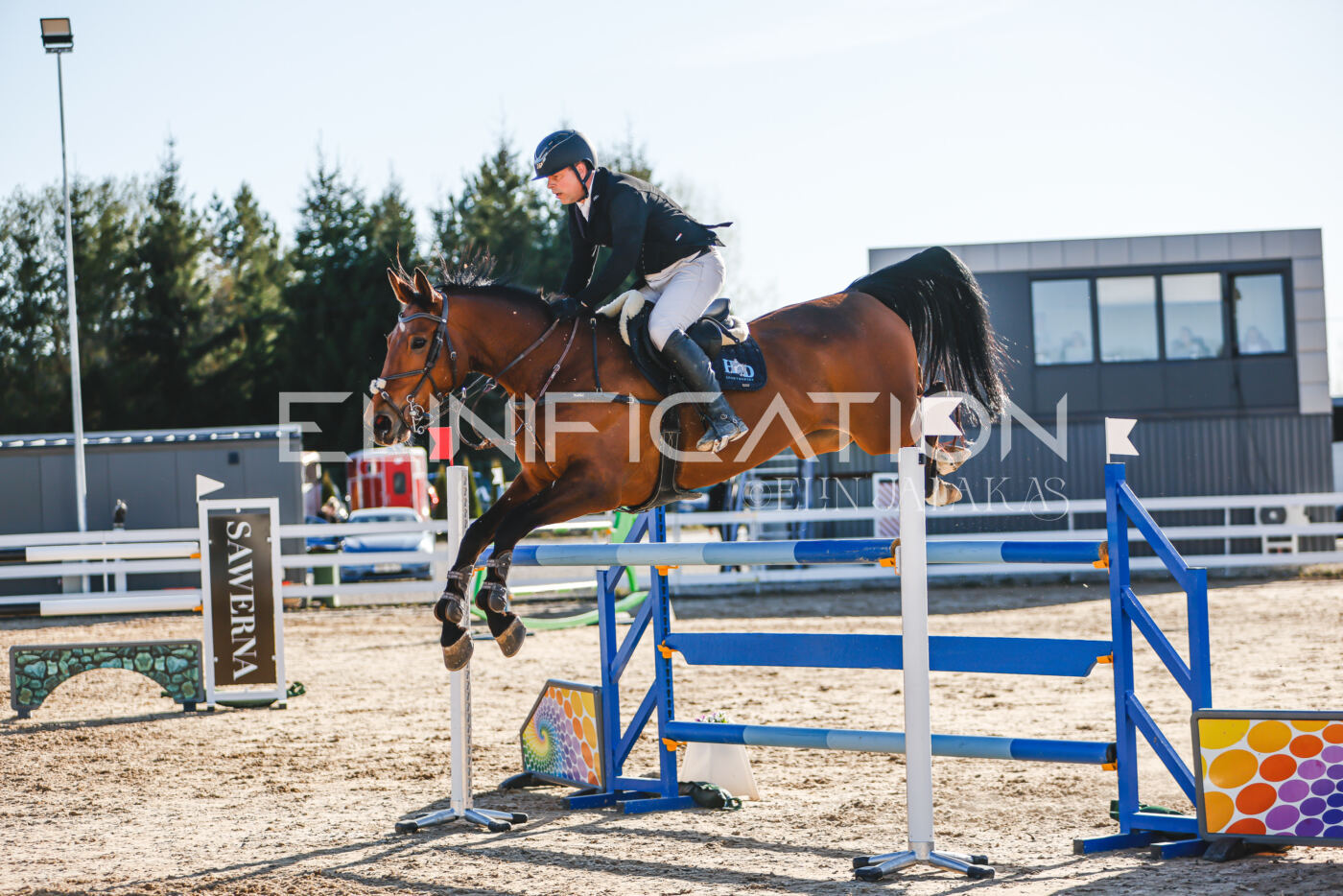 Gramina_Volber_2026_130_0229