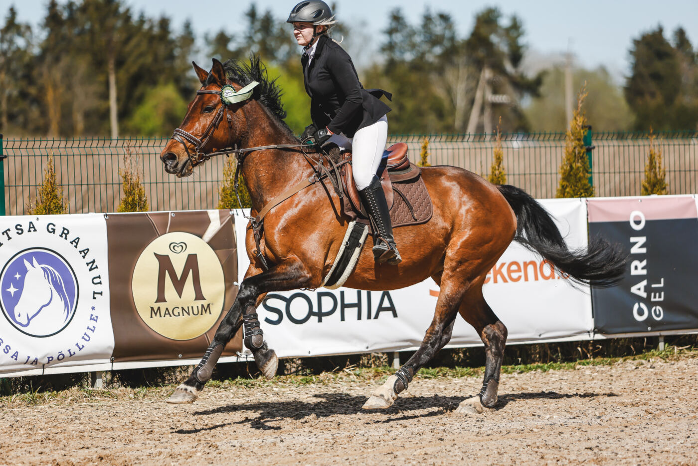 Gramina_Volber_2026_90_autasustamine_038