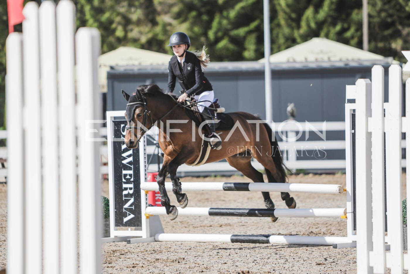 Gramina_Kevad_2026_80_003