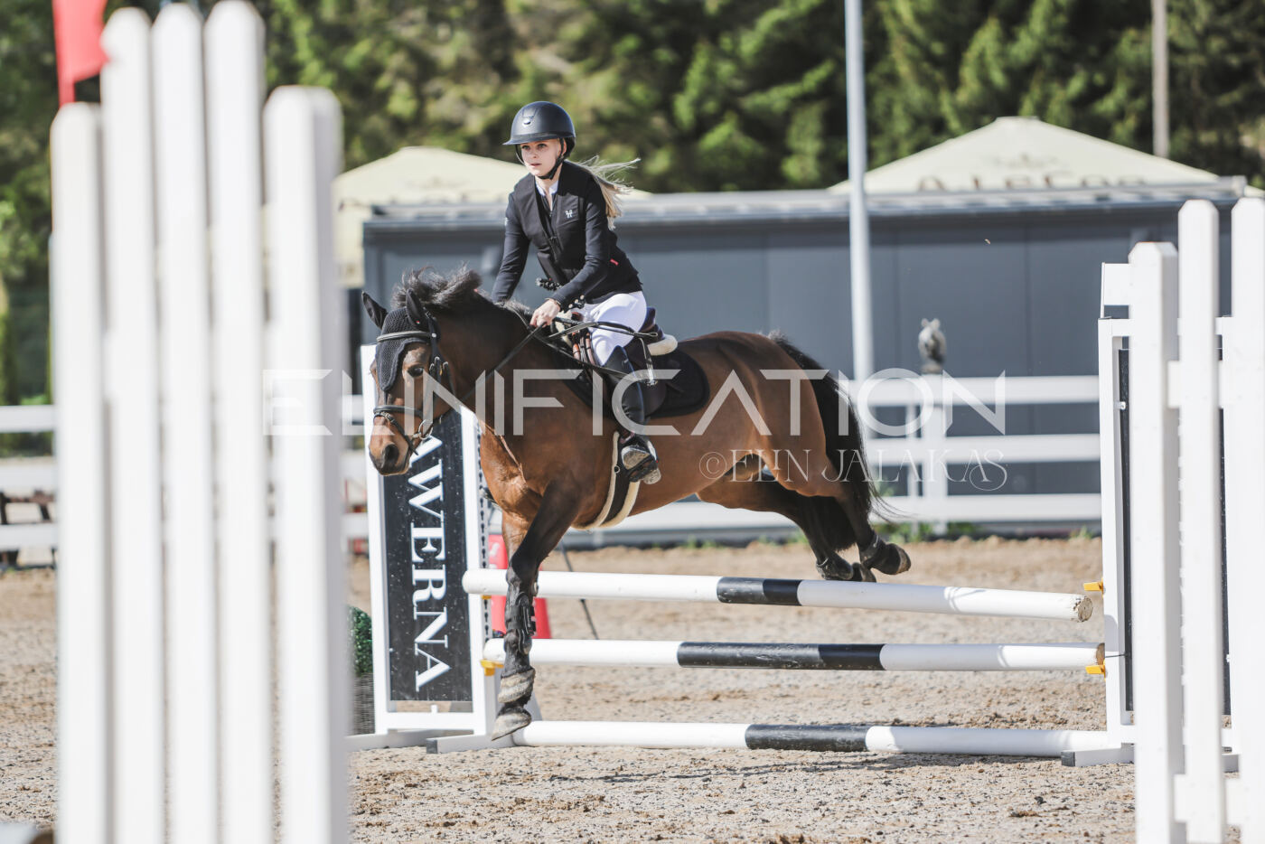 Gramina_Kevad_2026_80_004