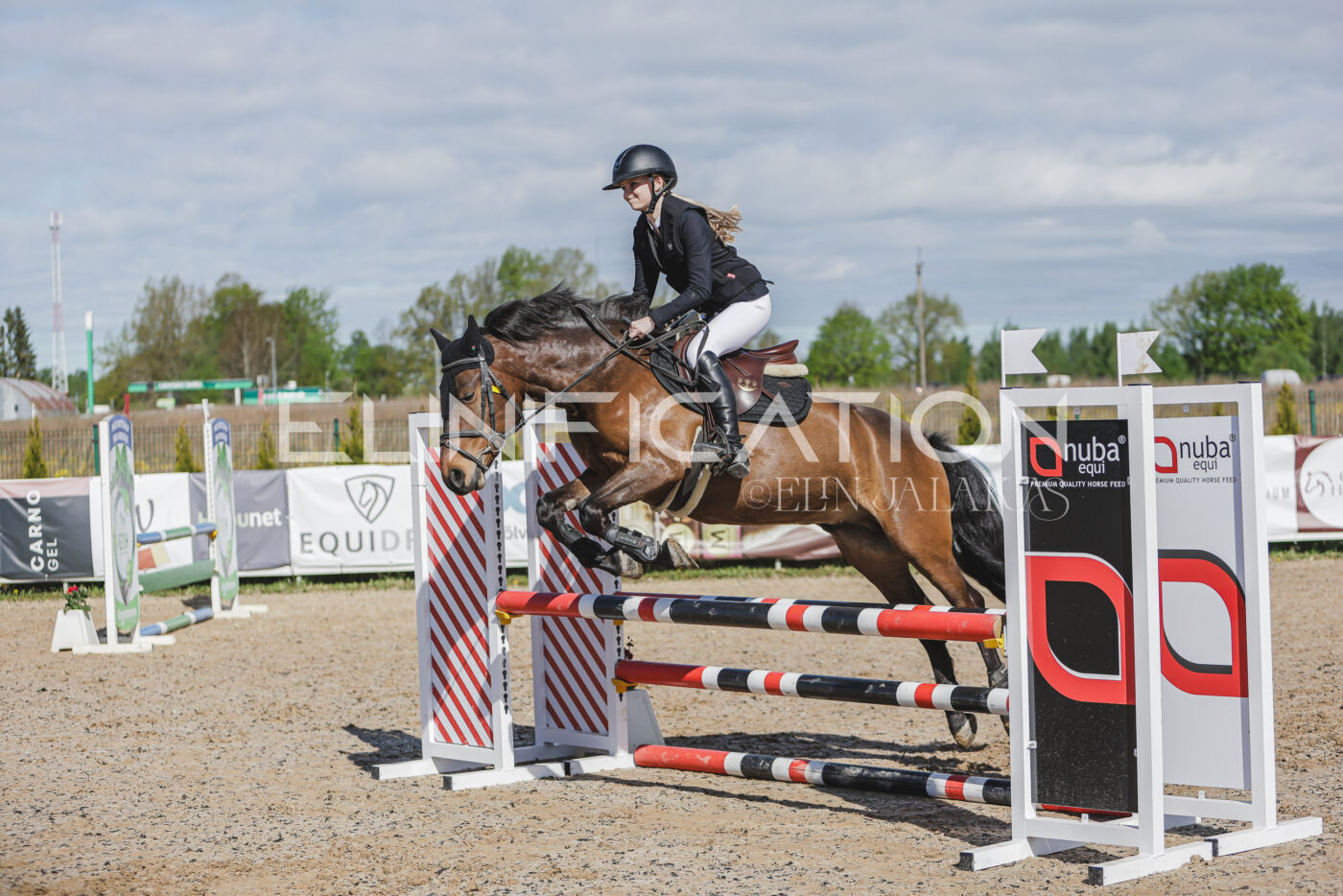 Gramina_Kevad_2026_80_007