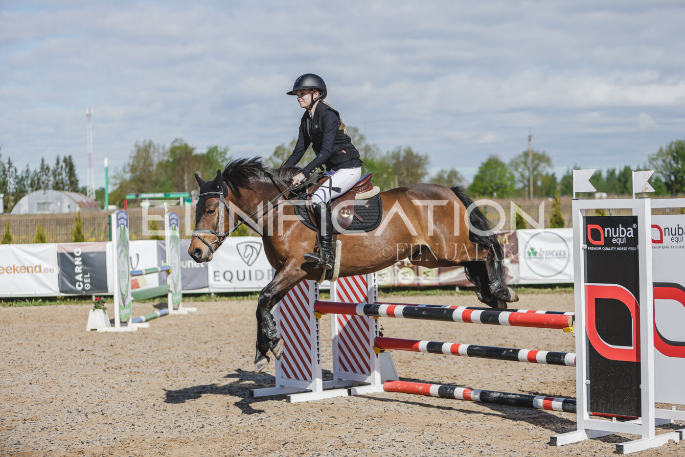 Gramina_Kevad_2026_80_010