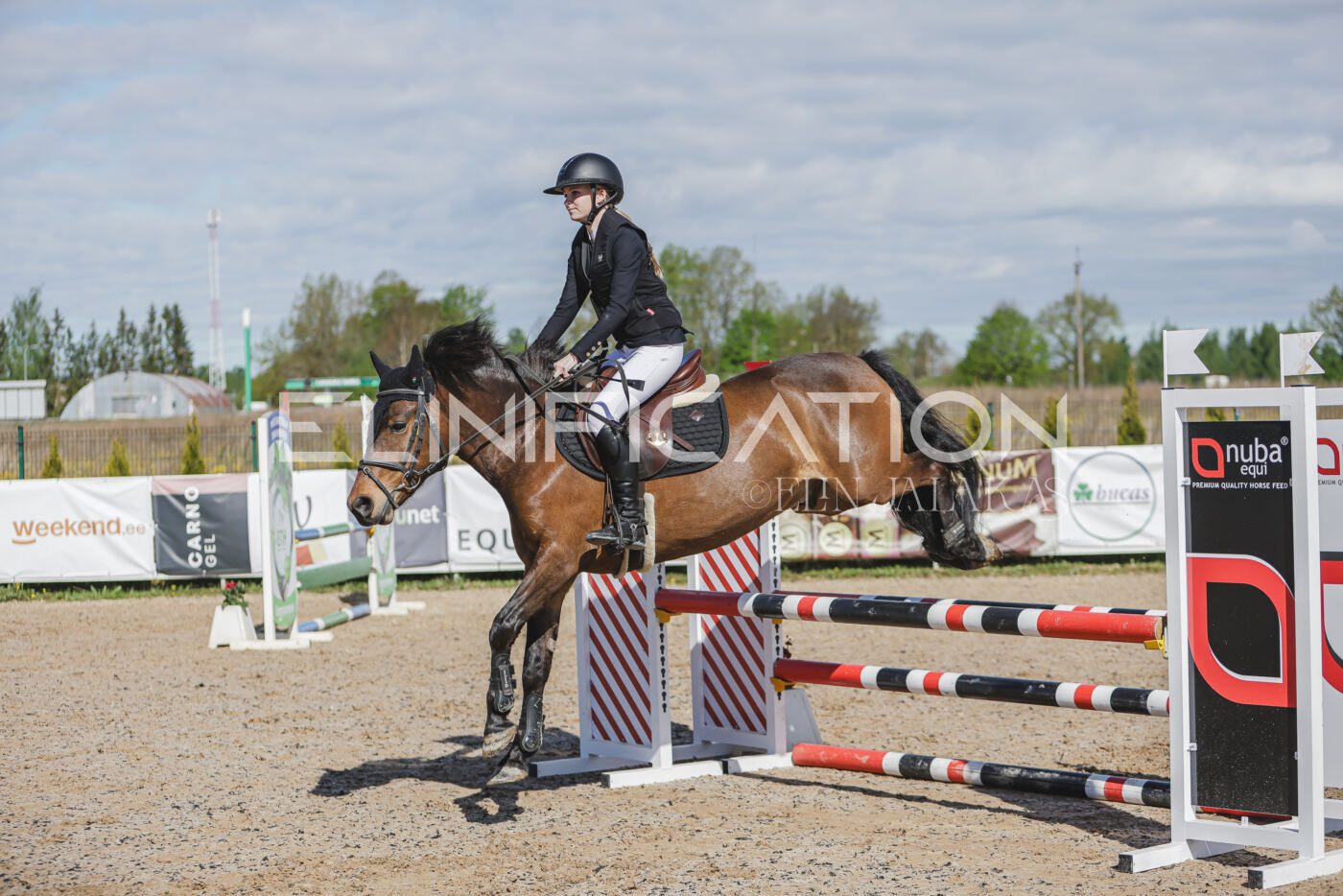 Gramina_Kevad_2026_80_011