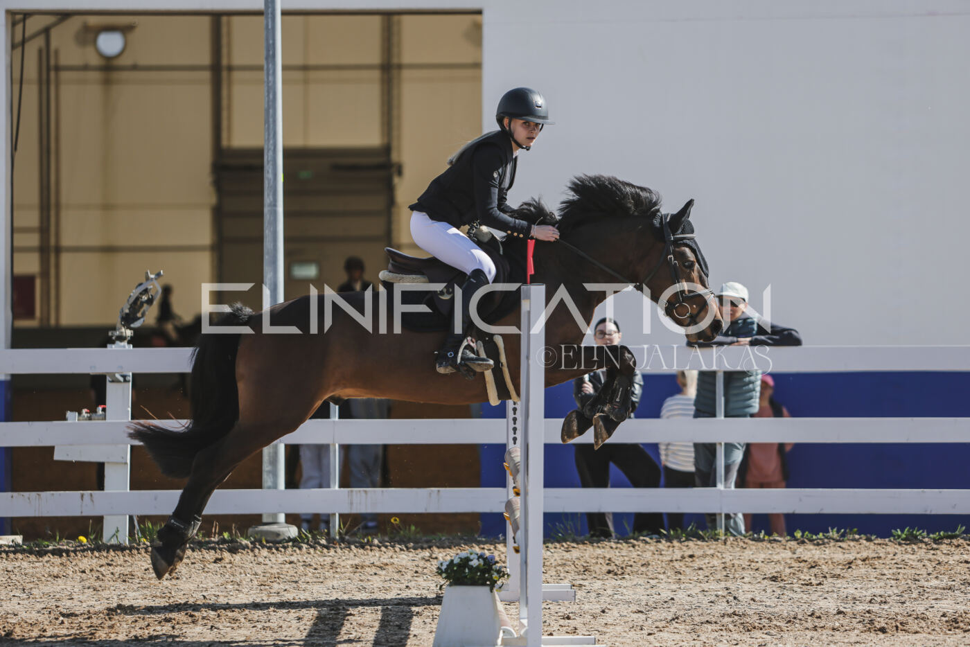 Gramina_Kevad_2026_80_018