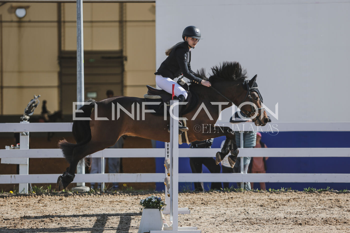 Gramina_Kevad_2026_80_019