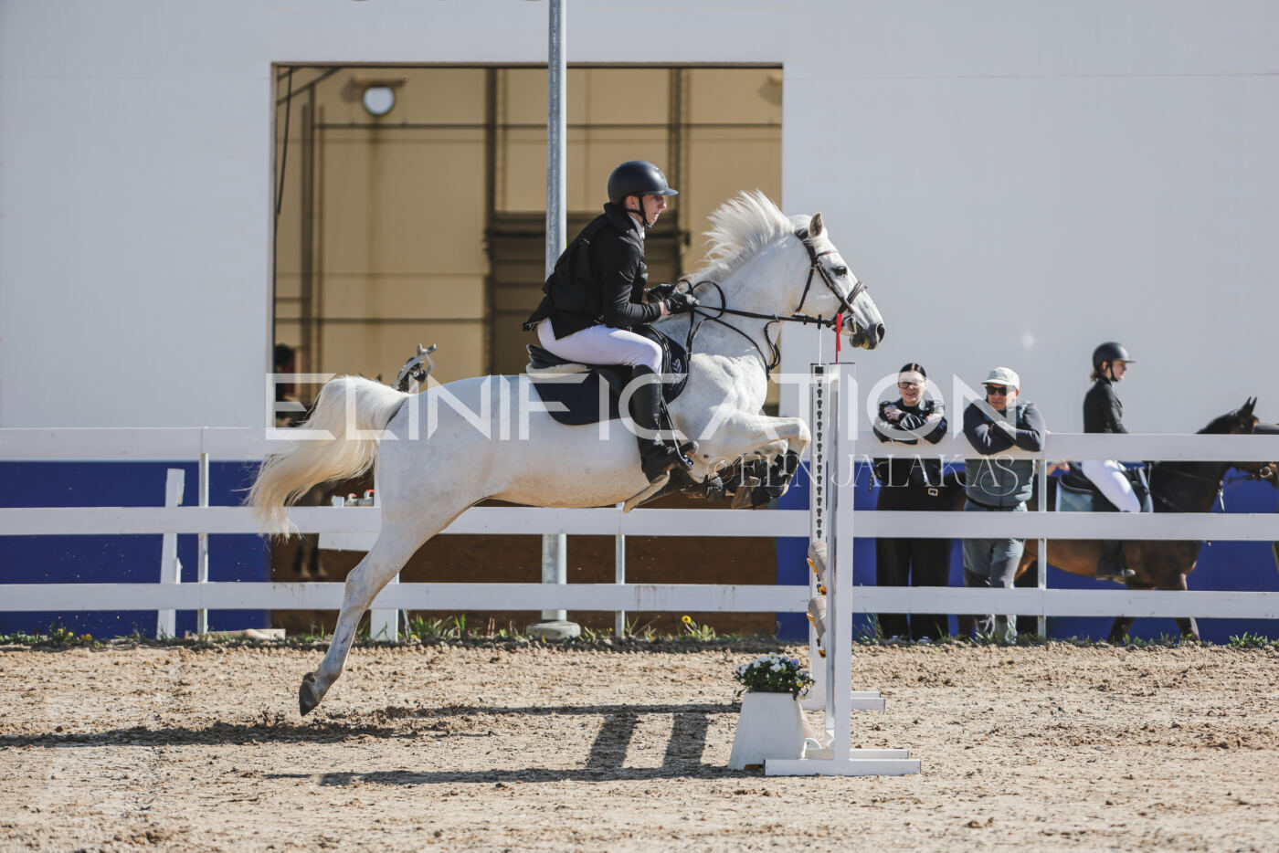 Gramina_Kevad_2026_80_031