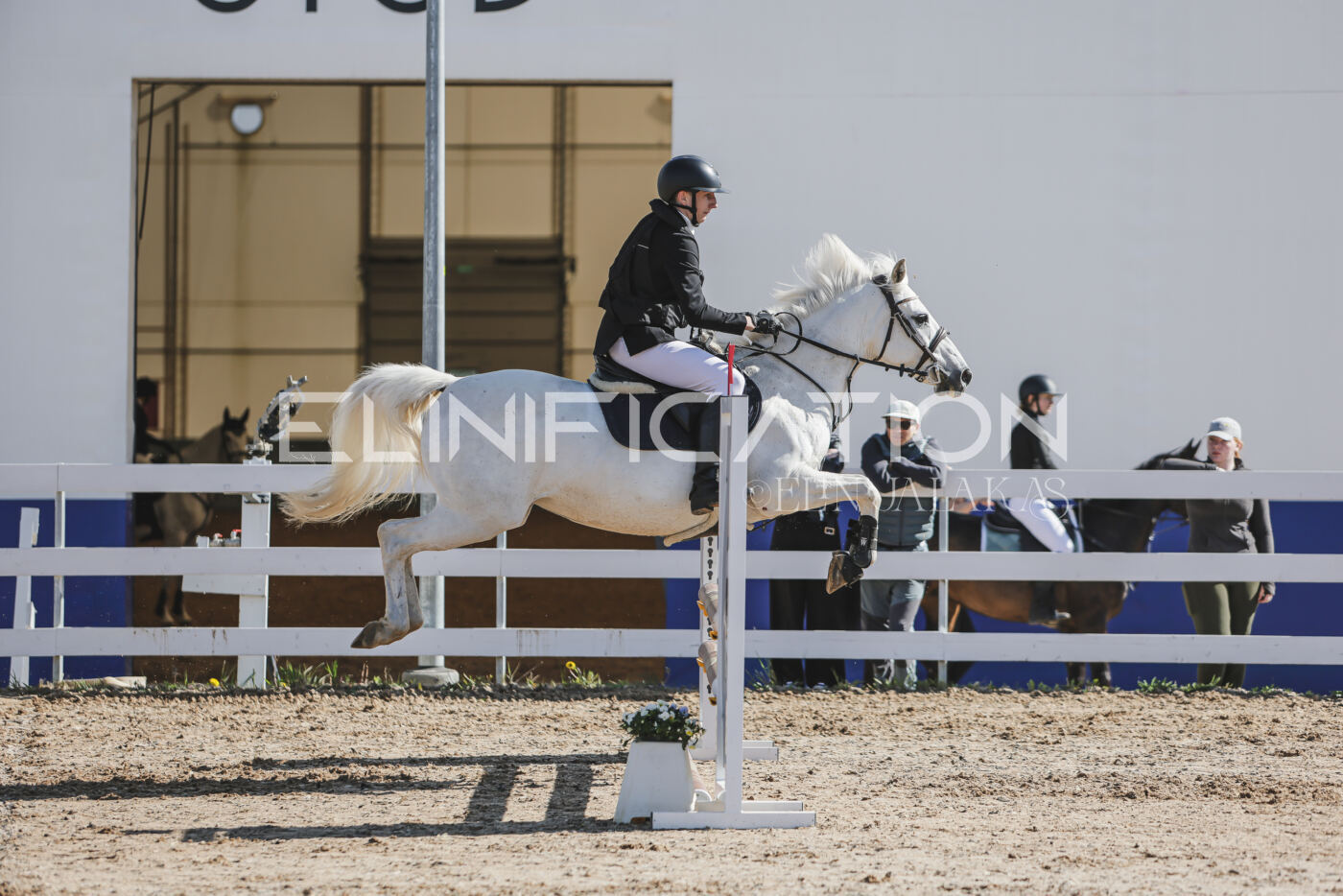 Gramina_Kevad_2026_80_033