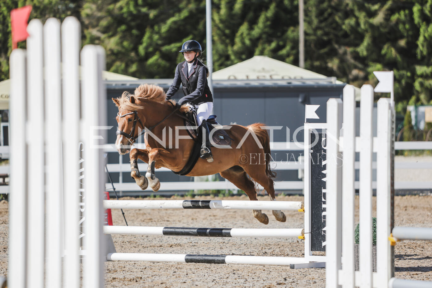 Gramina_Kevad_2026_80_036