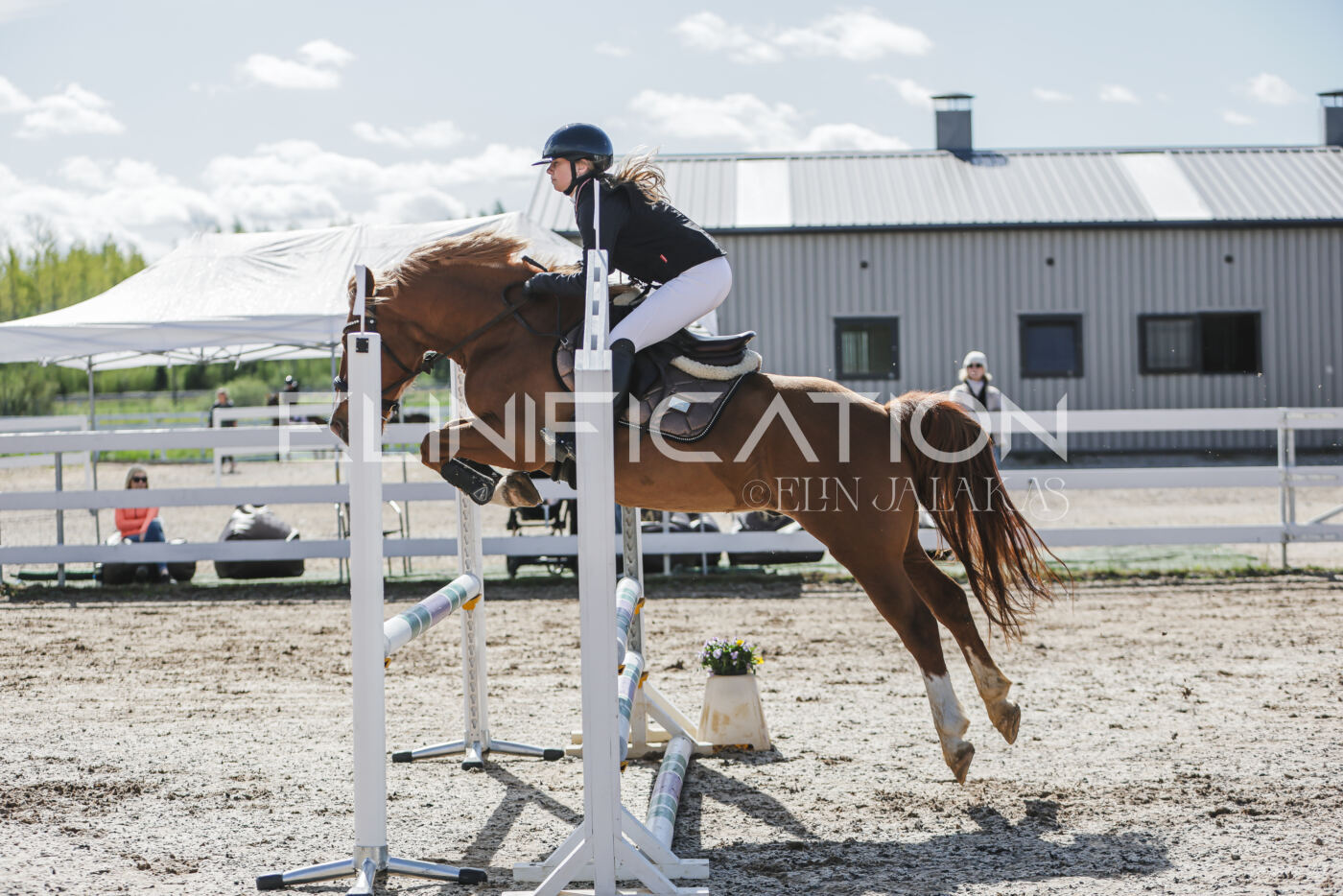 Gramina_Kevad_2026_80_037