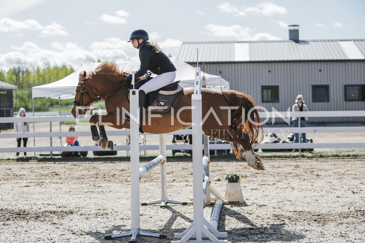 Gramina_Kevad_2026_80_039