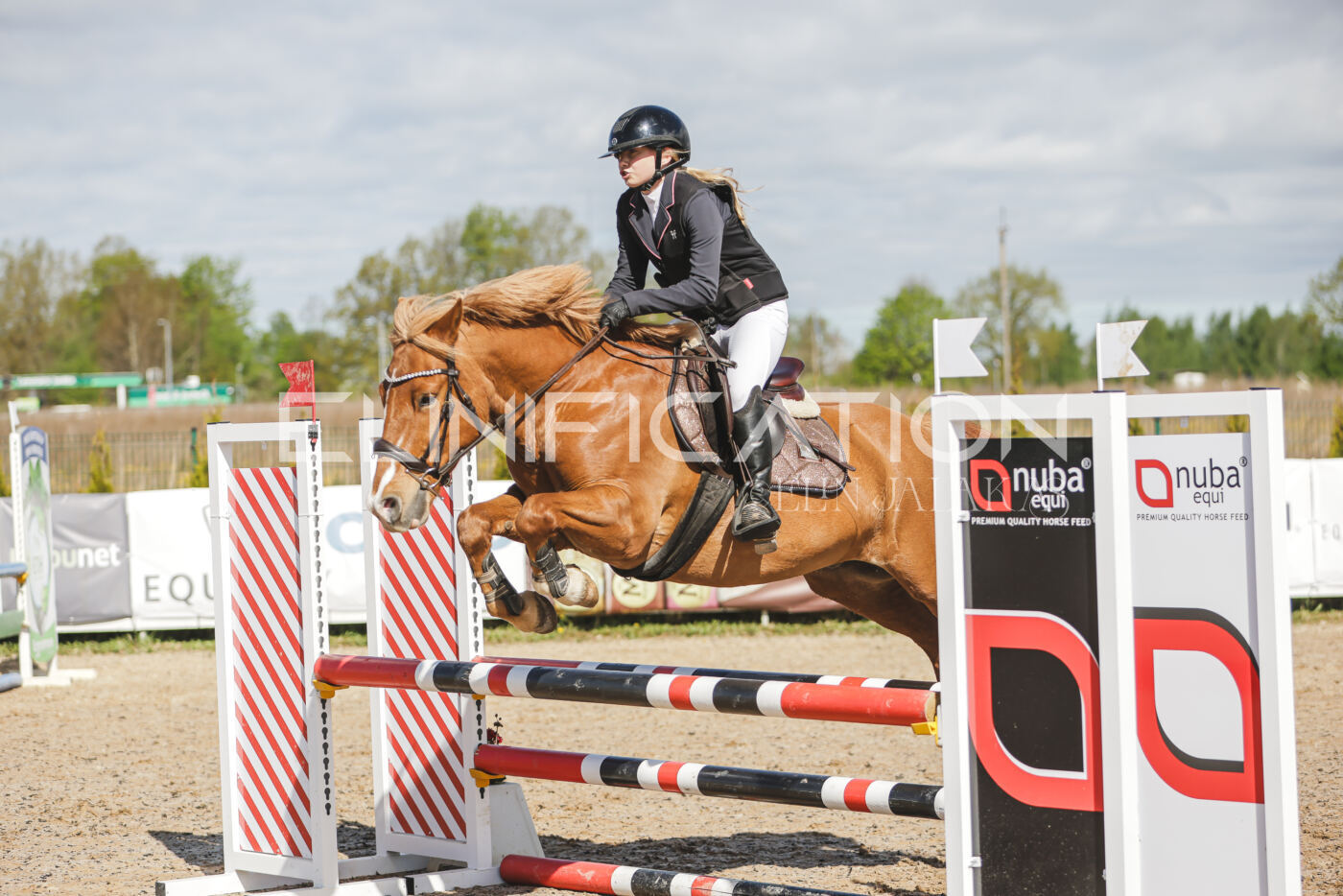 Gramina_Kevad_2026_80_040