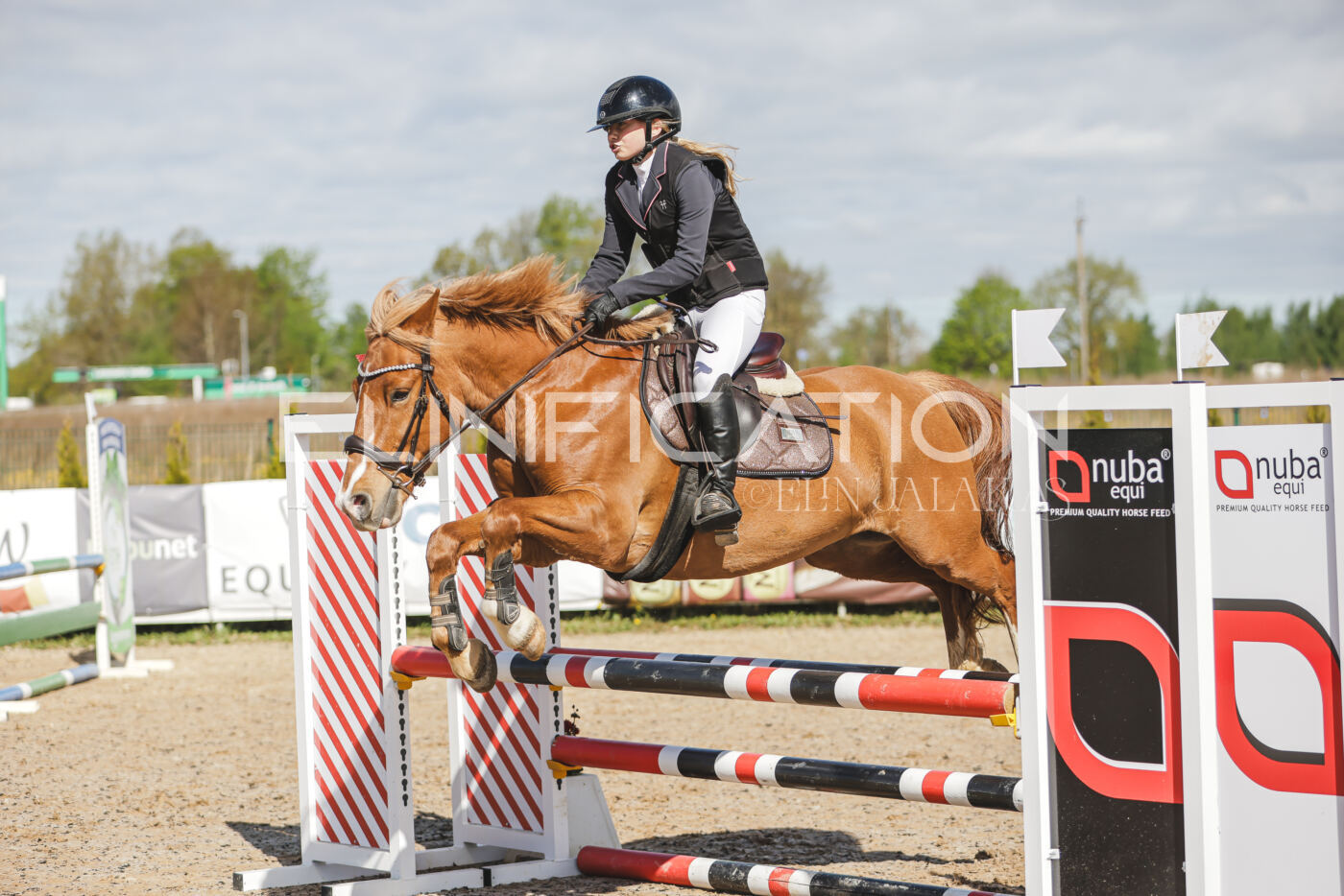 Gramina_Kevad_2026_80_041
