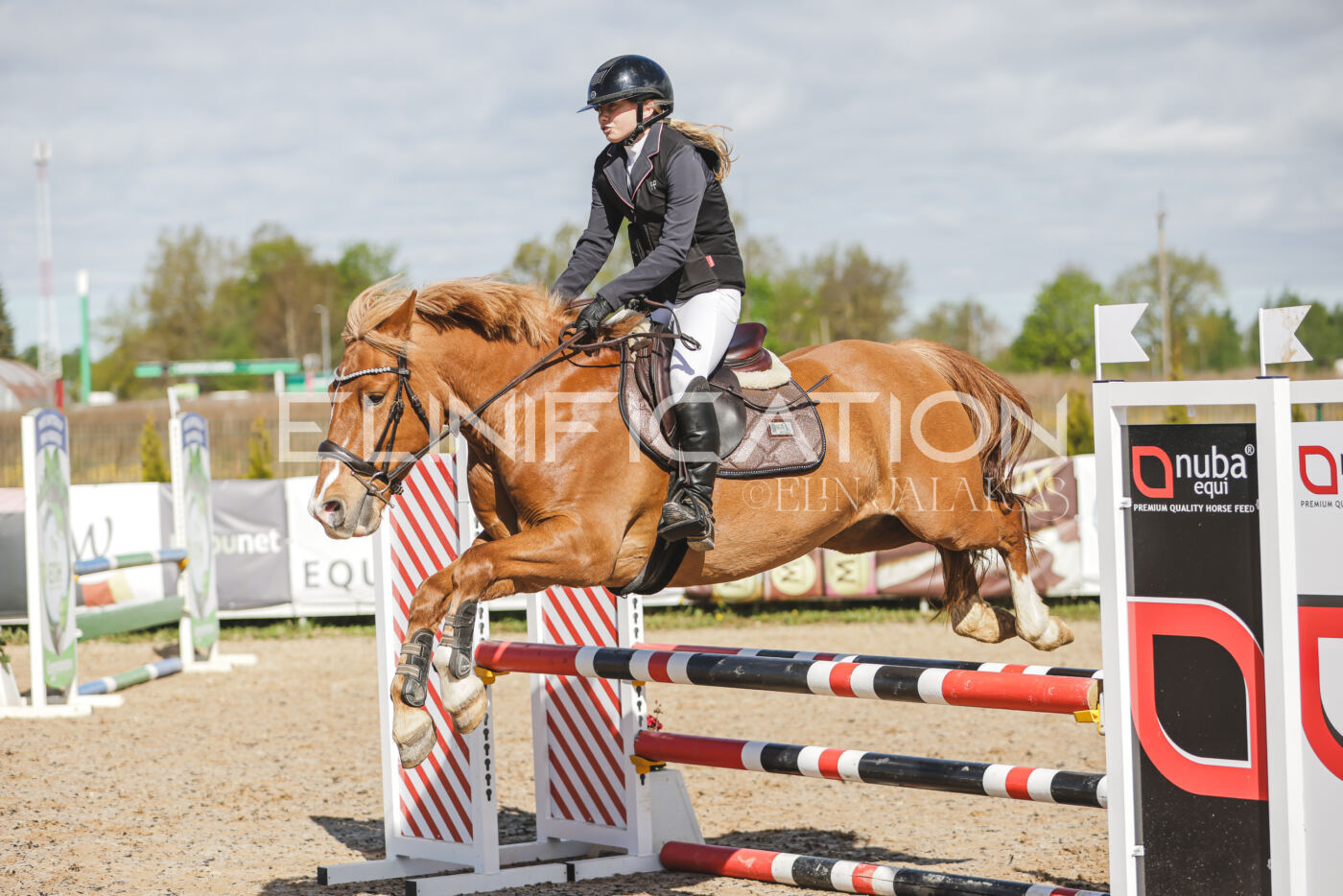 Gramina_Kevad_2026_80_042