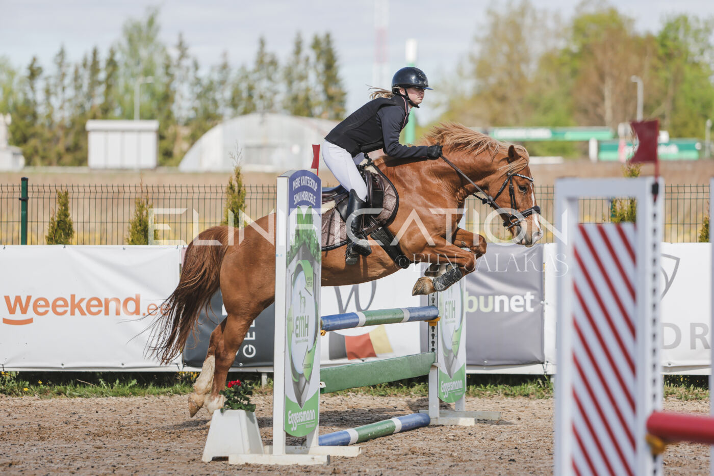 Gramina_Kevad_2026_80_045
