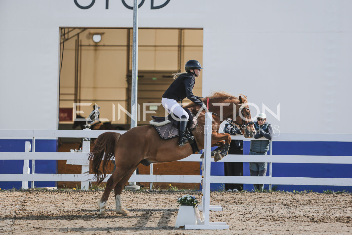 Gramina_Kevad_2026_80_046