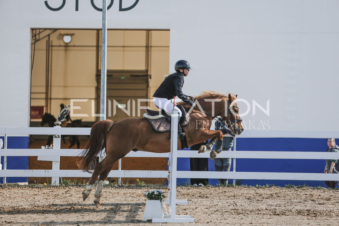 Gramina_Kevad_2026_80_047