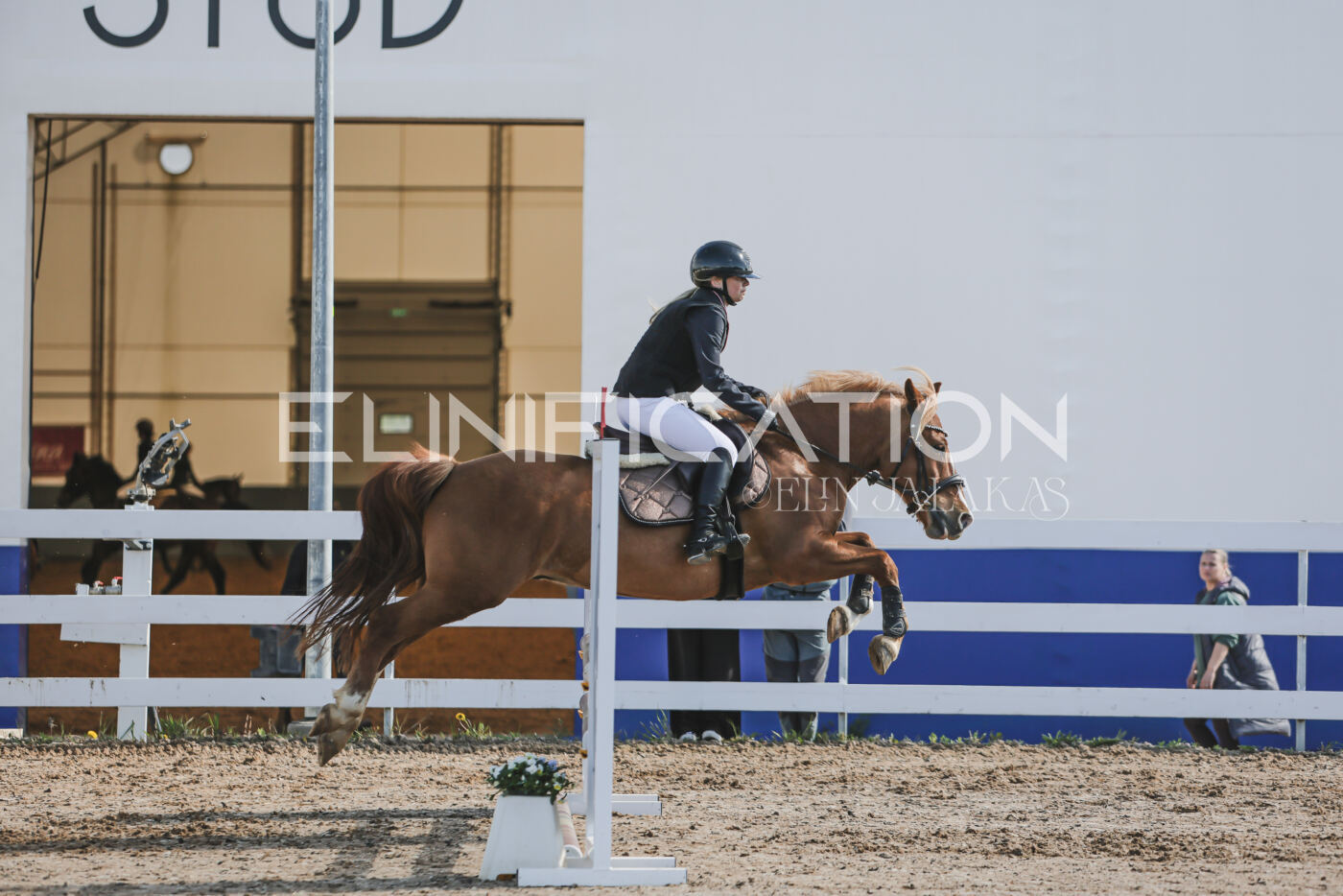 Gramina_Kevad_2026_80_048