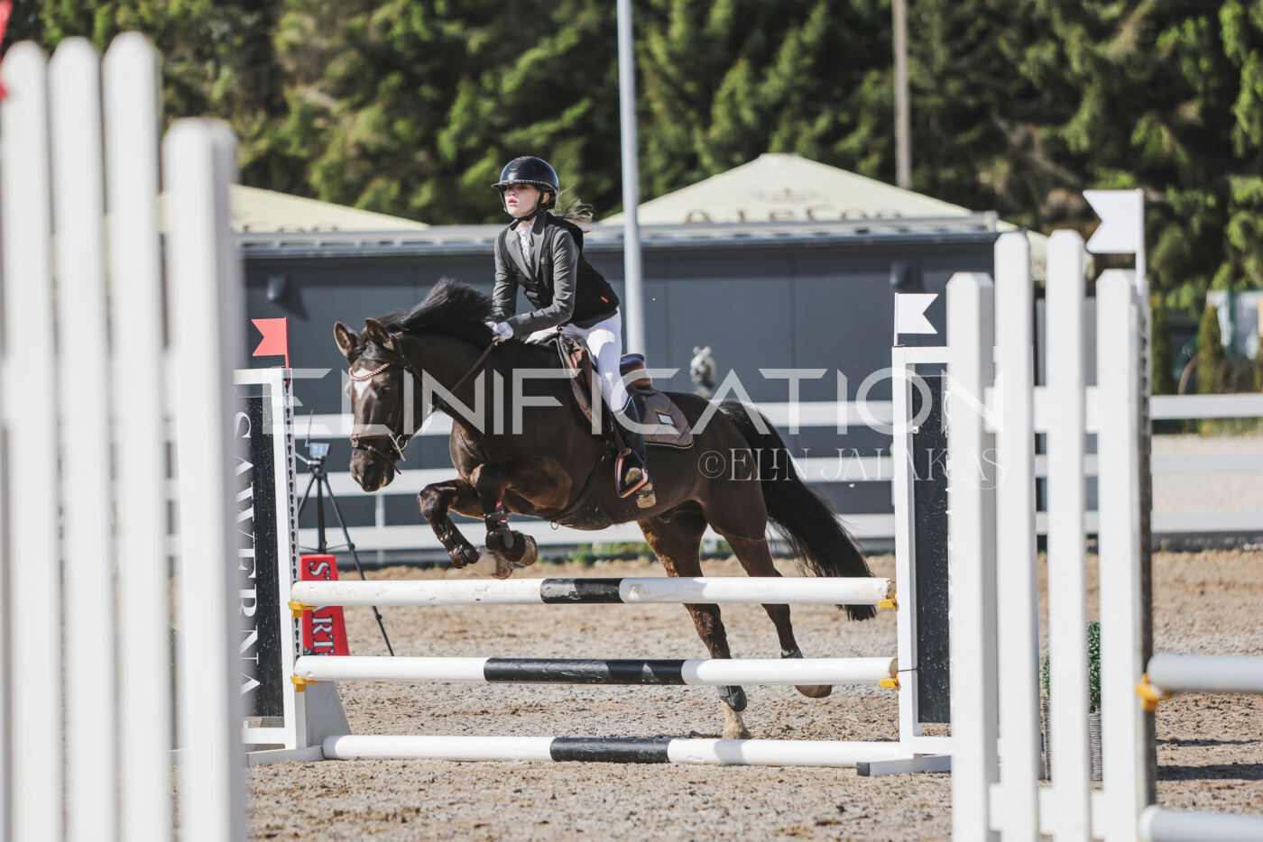 Gramina_Kevad_2026_80_050