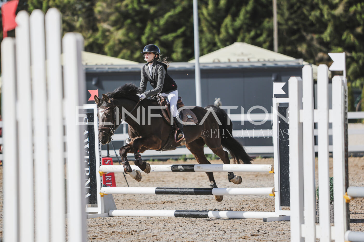 Gramina_Kevad_2026_80_051