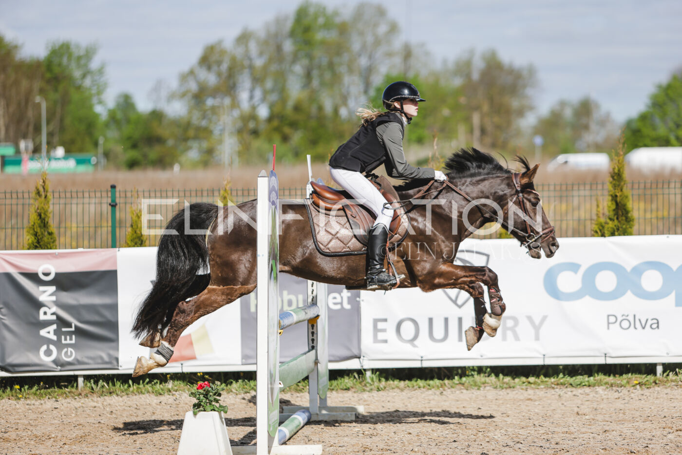 Gramina_Kevad_2026_80_060