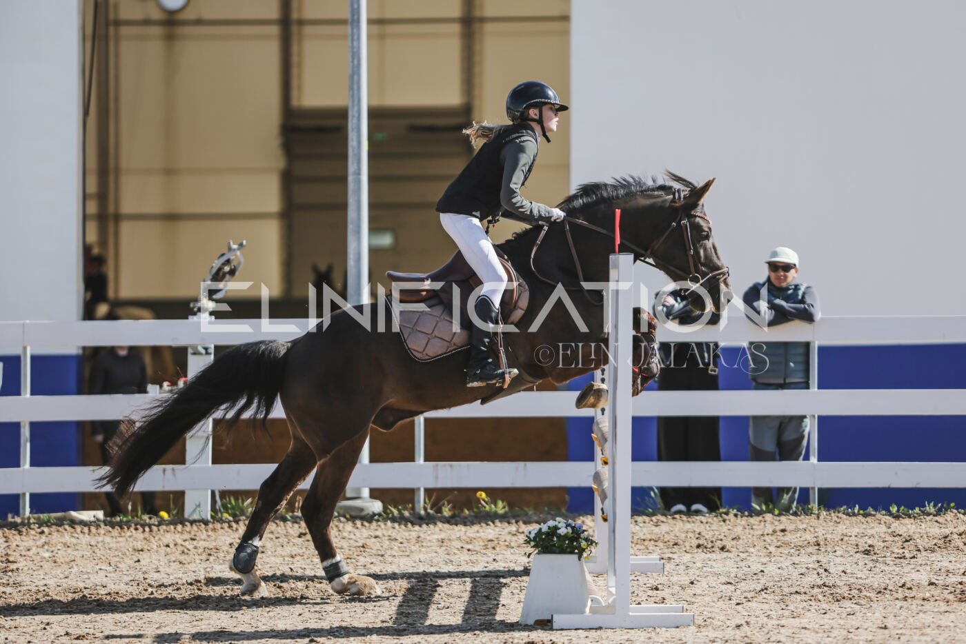 Gramina_Kevad_2026_80_061